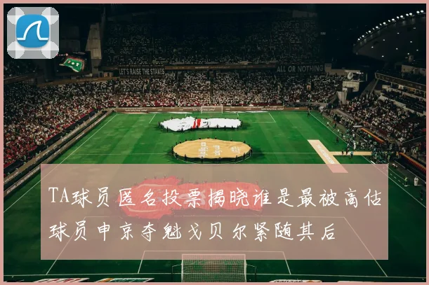 TA球员匿名投票揭晓谁是最被高估球员申京夺魁戈贝尔紧随其后