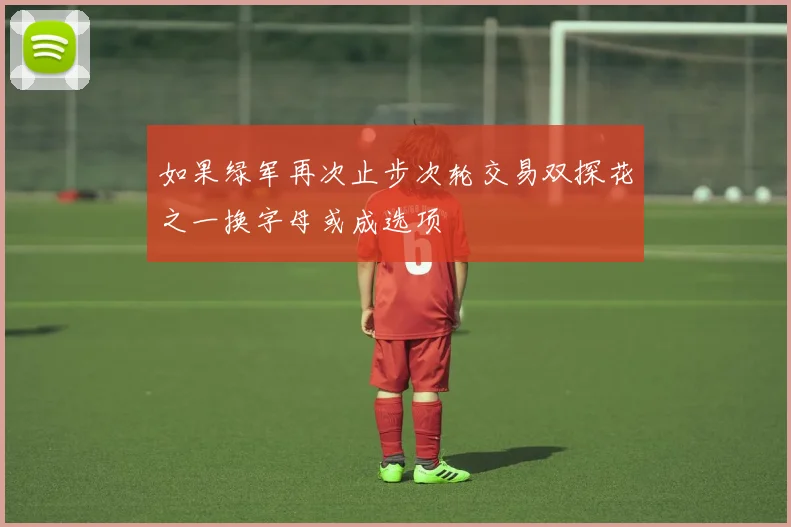 如果绿军再次止步次轮交易双探花之一换字母或成选项
