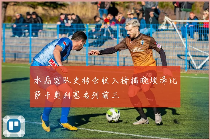 水晶宫队史转会收入榜揭晓埃泽比萨卡奥利塞名列前三
