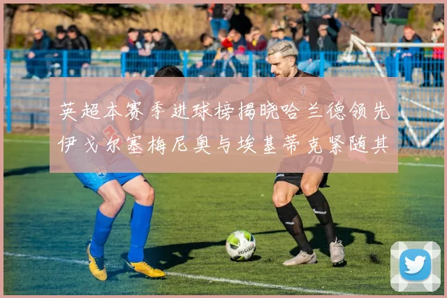英超本赛季进球榜揭晓哈兰德领先伊戈尔塞梅尼奥与埃基蒂克紧随其后